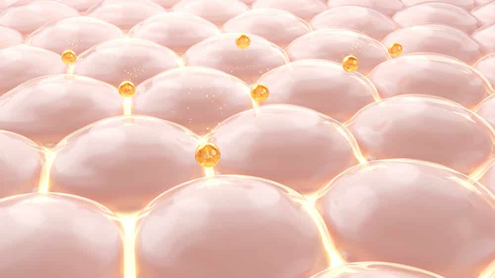 Blog 1 Loure Lessons: Melasma